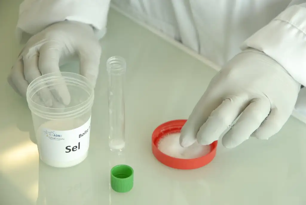 Test genetici predittivi test genetici predittivi: preparazione in laboratorio di una provetta per i test