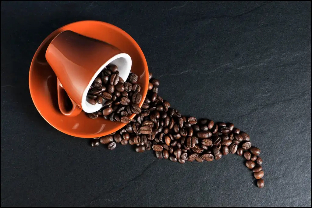 Caffeina e fertilità: chicchi di caffè fuoriescono da una tazzina marrone rovesciata